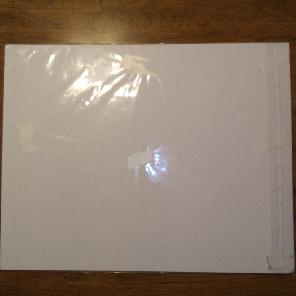 Indianapolis Colts Super Bowl XLI 8X10 Licensed Photo In 11X14 Blue Matted Frame - Picture 7 of 9